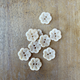 Lotus Corozo Shirting Buttons in Cream - 0.6" (sold by the button)