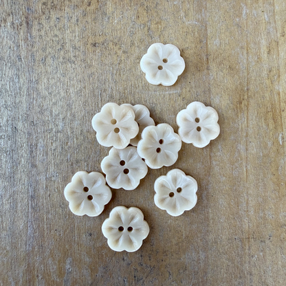 Lotus Corozo Shirting Buttons in Cream - 0.6" (sold by the button)