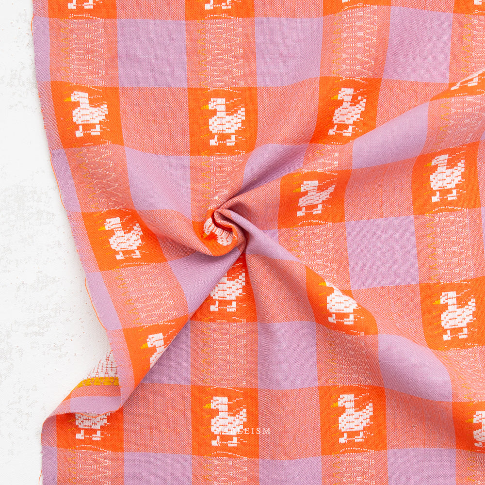 Duck Duck Goose in Charming - Fine & Dandy