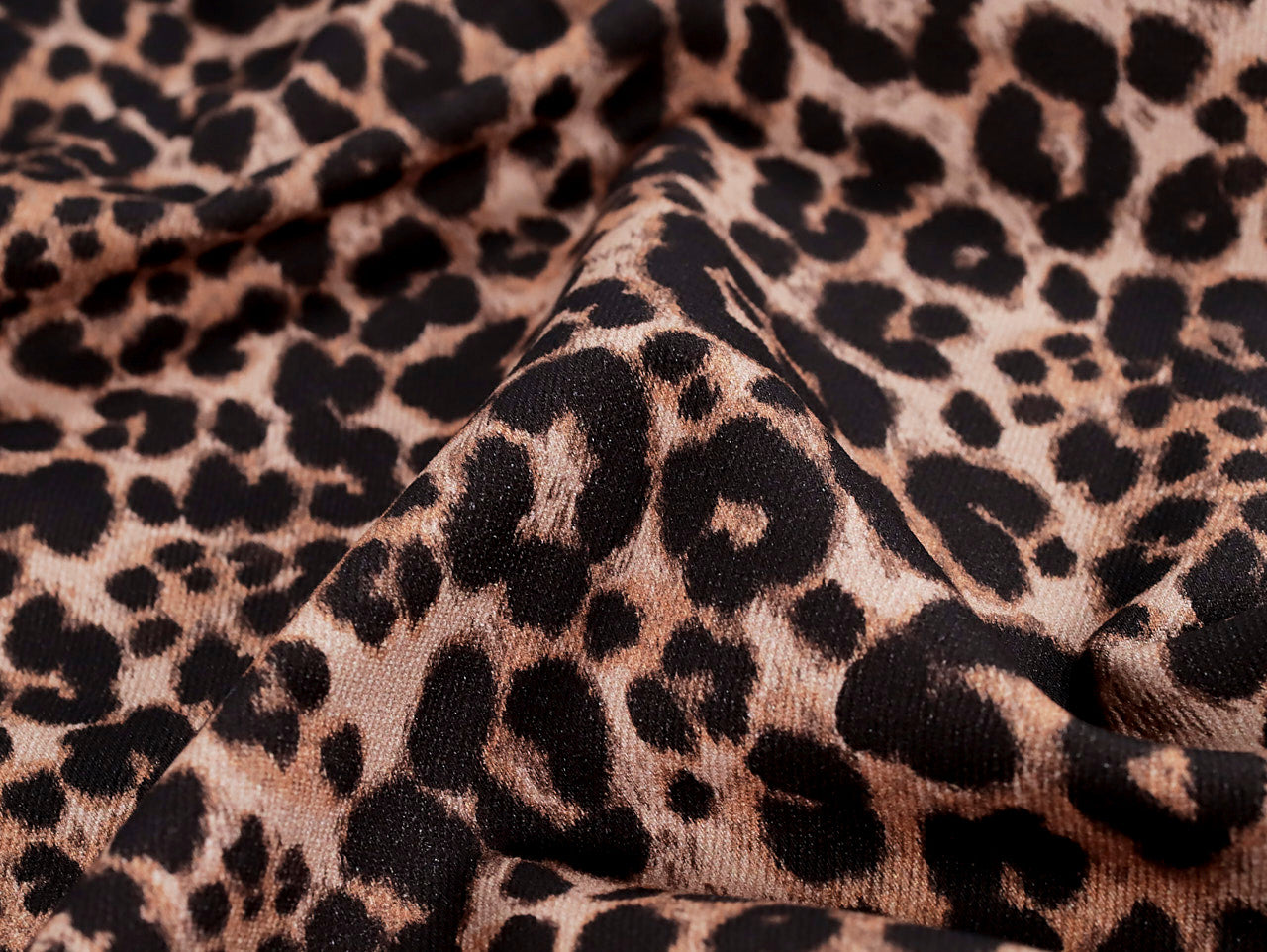 Ace - Animal Print Denim