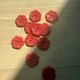 Lotus Corozo Shirting Buttons in Clay - 0.6" (sold by the button)