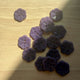 Lotus Corozo Shirting Buttons in Violet - 0.6" (sold by the button)